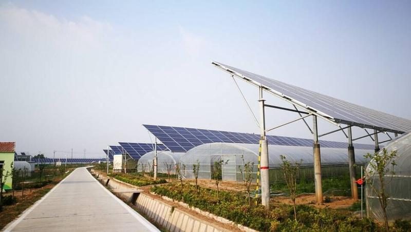 Ground-mounted array beside a farm access way