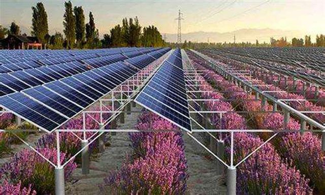 Modules mounted in rows above a flowering crop block