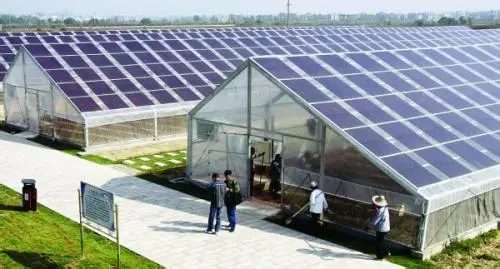 Glasshouse growing structure with integrated modules