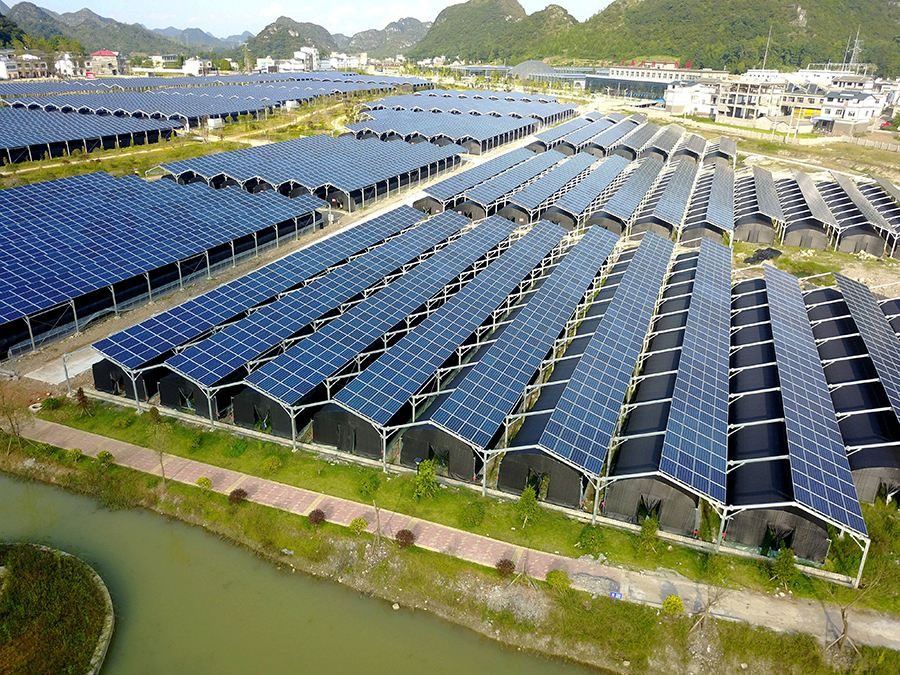 Rows of covered growing structures carrying modules